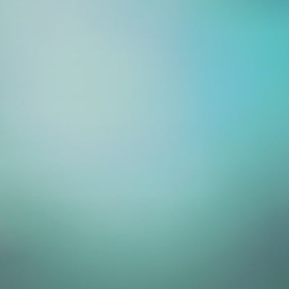 Plate Plasma Metallic Chromo [2x1]