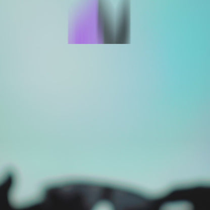 Radar EV Black [2x1]